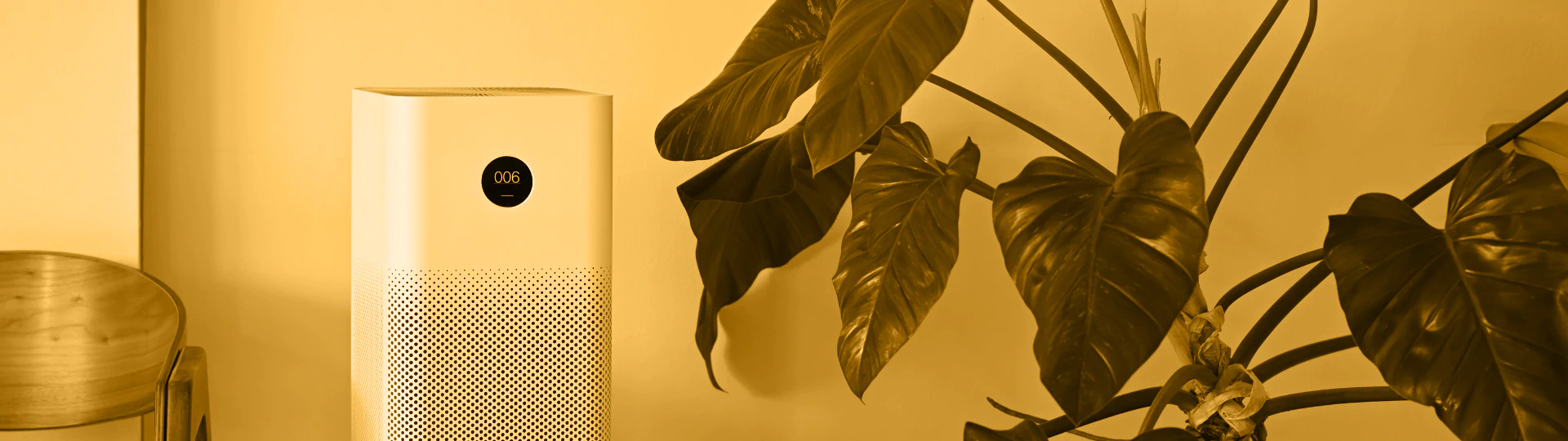 Air Purification Systems breadcrumb