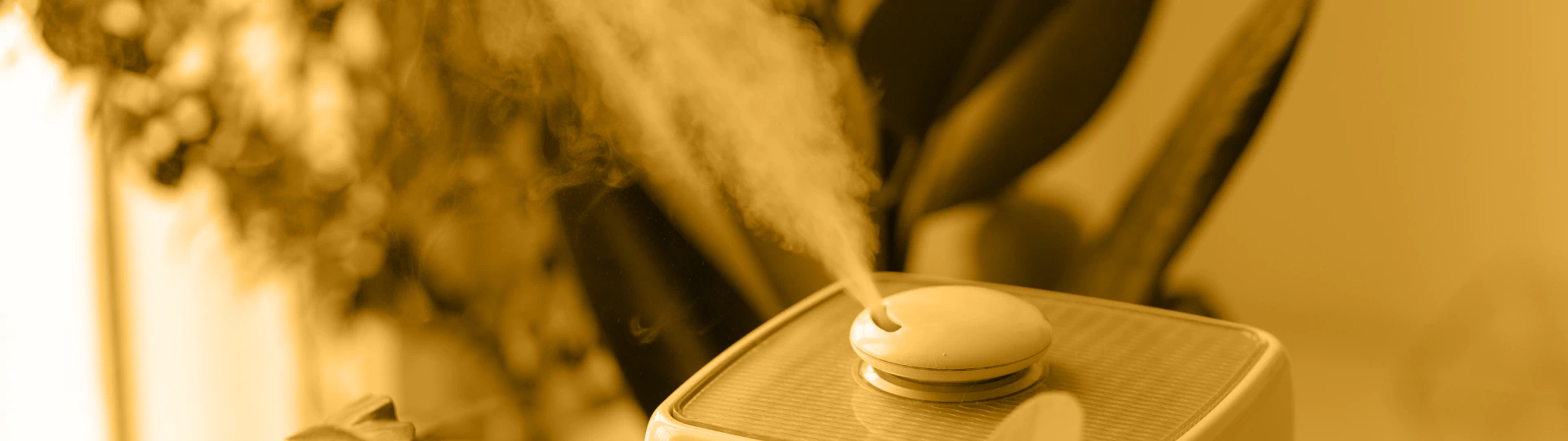 Humidifier and Dehumidifier Services breadcrumb